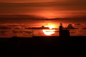 九游jiuyou-CBA球队提升场上应变能力，cba球员基本功