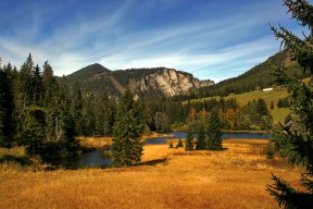 九游游戏中心官网-亚洲杯中国女足战胜 球员状态稳定，中国女足 亚军