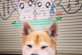 九游娱乐官网 (jiuyou)-中国篮球是否应借鉴欧美训练体系提升对抗强度，中国篮球训练现状