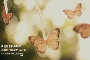 -奥运村食品追溯系统上线保障饮食安全，奥运村食物