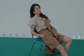 九游网游官网-英超史诗战役：血性拼搏永不言弃，英超战绩