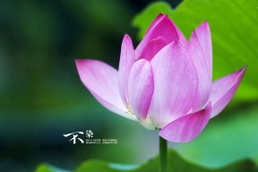 九游(jiuyou)官方网站-校园足球暑期集训营开营各地选拔机制更加透明，暑假足球训练营招生简章