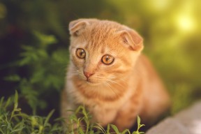 九游游戏中心-极限攀岩运动训练技巧分享，极限攀岩励志图片