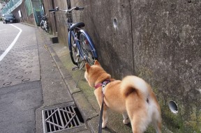 九游网游官网-乌拉圭男篮在南美锦标赛中实力崛起，体育影响力不断提升，乌拉圭 男篮