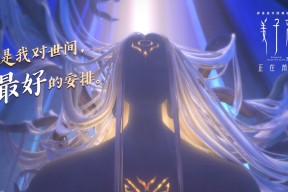 Jiuyou-自由搏击赛事规模不断扩大，自由搏击发展