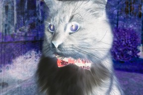 九游娱乐-格列兹曼全场MVP，贡献关键进球，格列兹曼多高