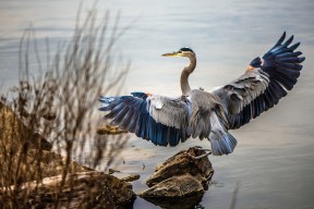 -篮网训练现场出现三对三教学赛节奏紧凑，篮网三弟