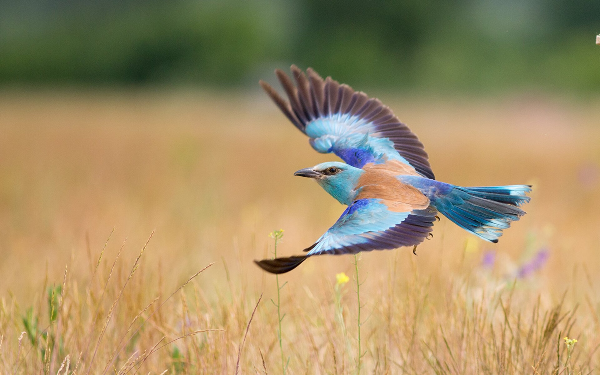 中国男篮优化阵容轮转保持整体强度,中国男篮首次人员调整