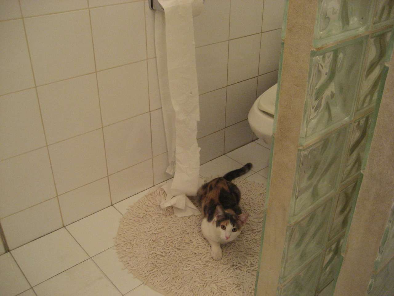 中国男篮投篮命中率稳步上升,中国男篮投篮姿势