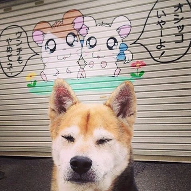 中国篮球是否应借鉴欧美训练体系提升对抗强度,中国篮球训练现状