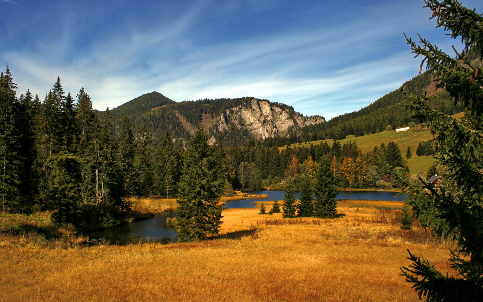 亚洲杯中国女足战胜 球员状态稳定,中国女足 亚军