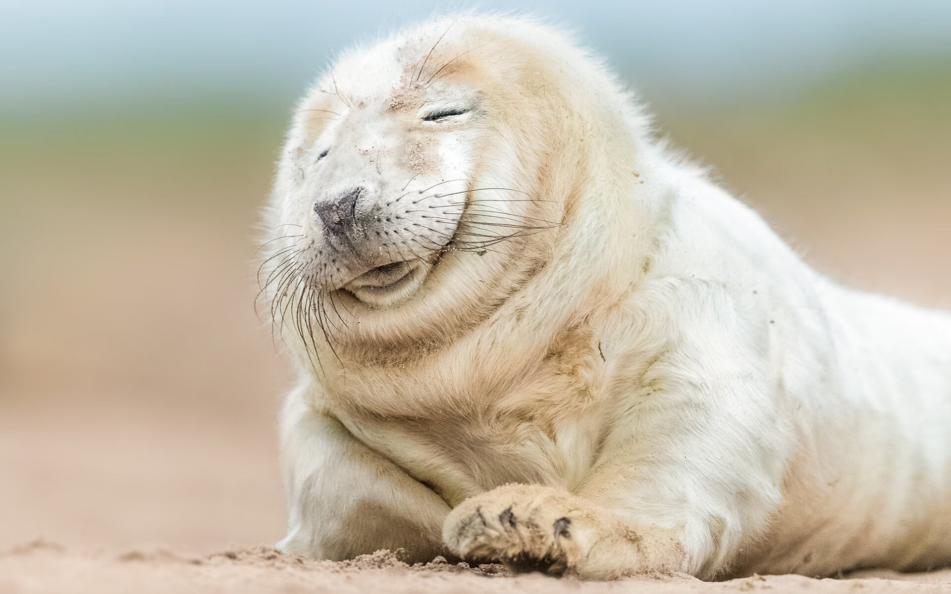 倒三角布局带来控场优势,倒三角战术解析