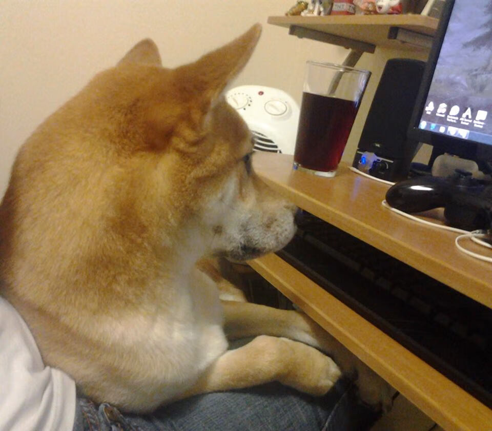 出发弹跳力提升,抢占领先先机,弹跳发力原理