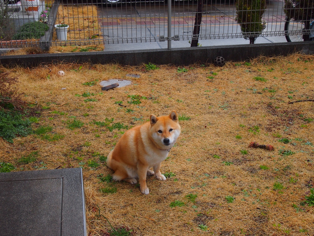 快速过渡打击退防未稳阶段