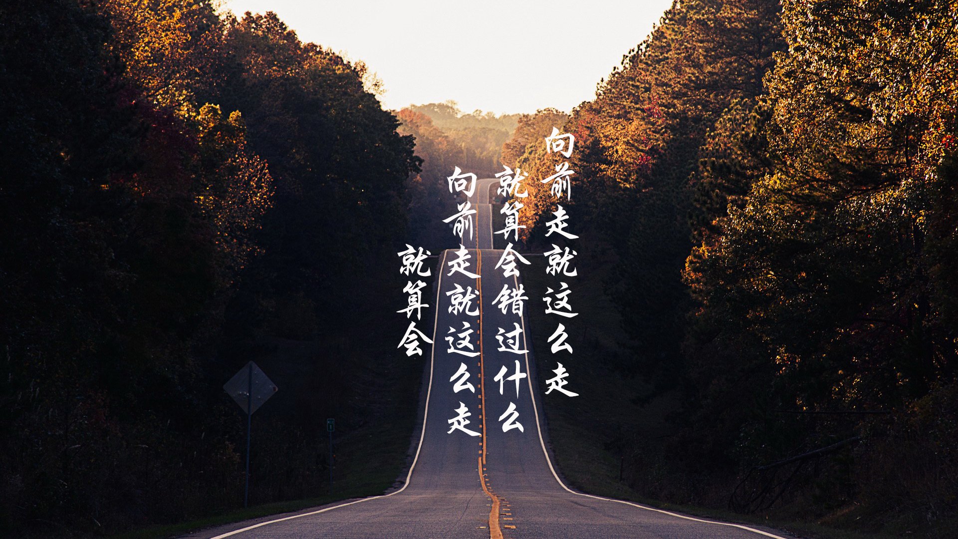 技术雷达图揭示蝶泳顶尖选手稳定性,蝶泳技术分析