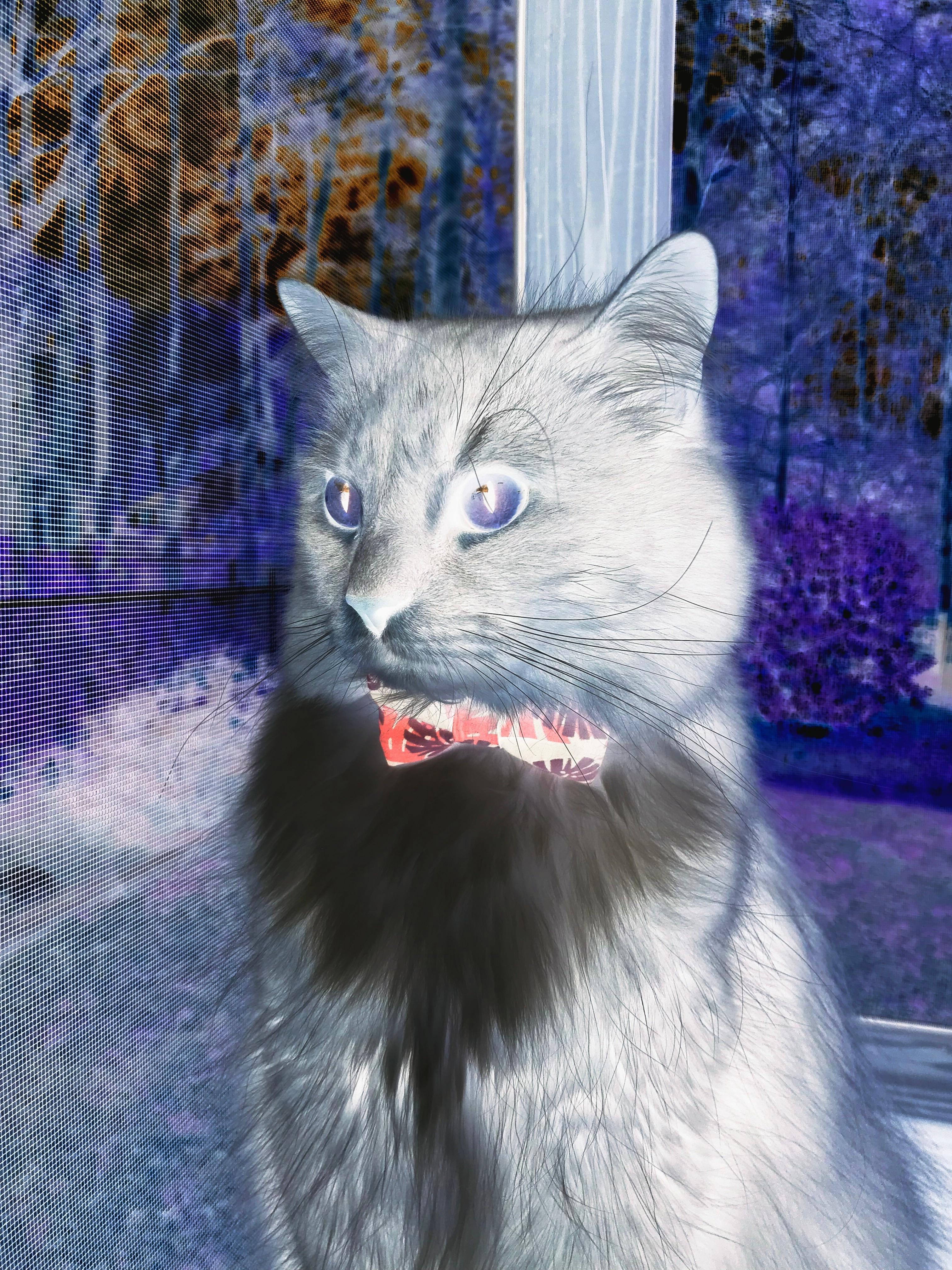 格列兹曼全场MVP,贡献关键进球,格列兹曼多高