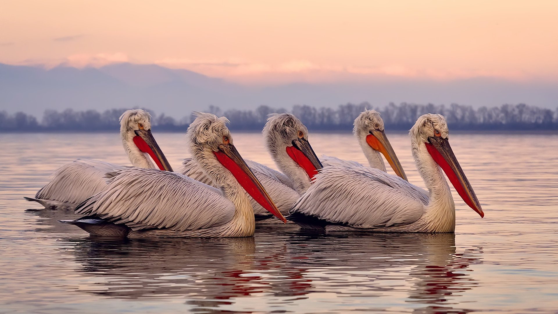 世界杯精彩四射:场上场下激情无限,世界杯精彩过人