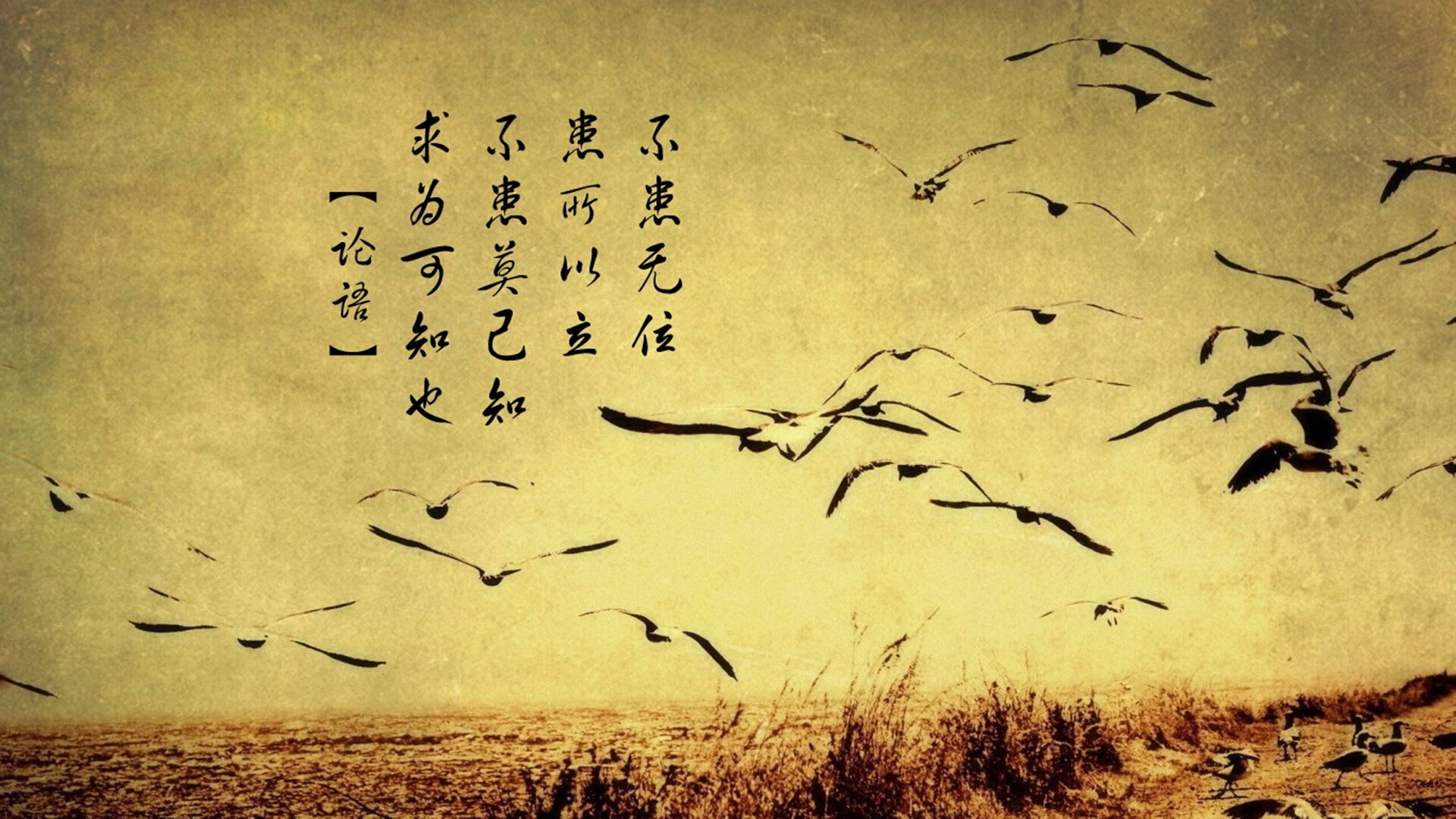 中国女排全新主攻组合表现抢眼,中国女排主队