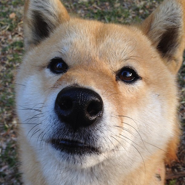 凯尔特人防守端演练形成封锁效果明显提升,凯尔特人防守悍将