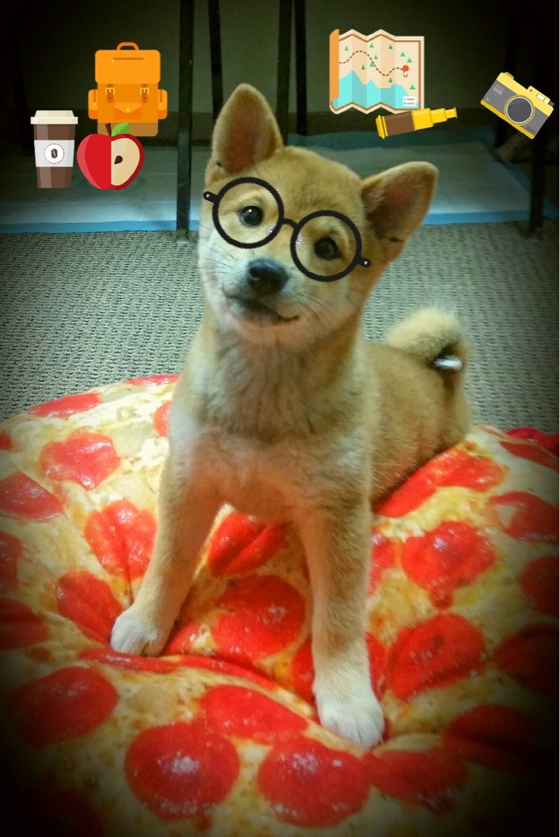 南非男子仰泳节奏稳定,男子仰泳比赛视频