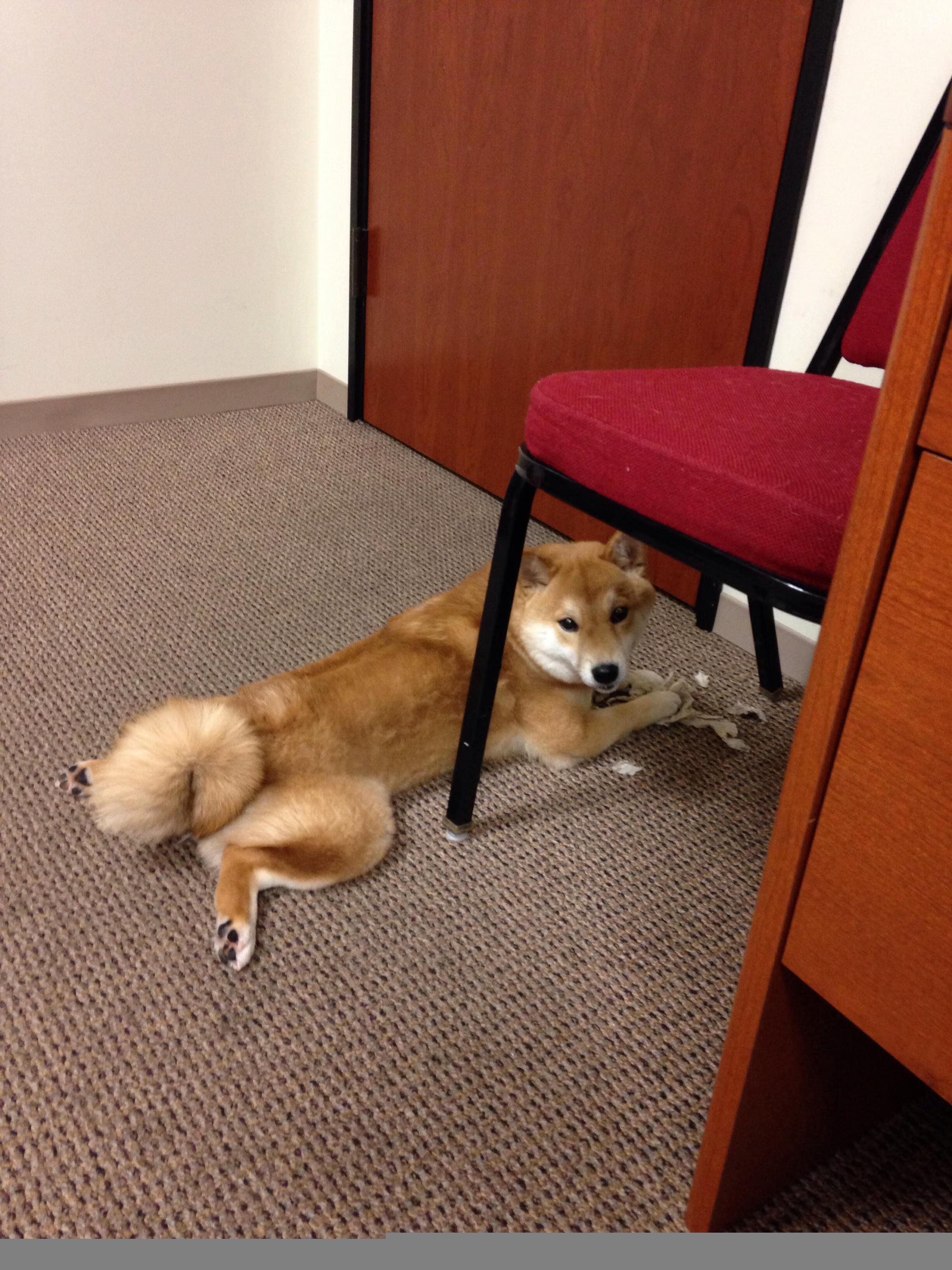 掘金官方发布赛前音乐激励视频,掘金比赛在线直播