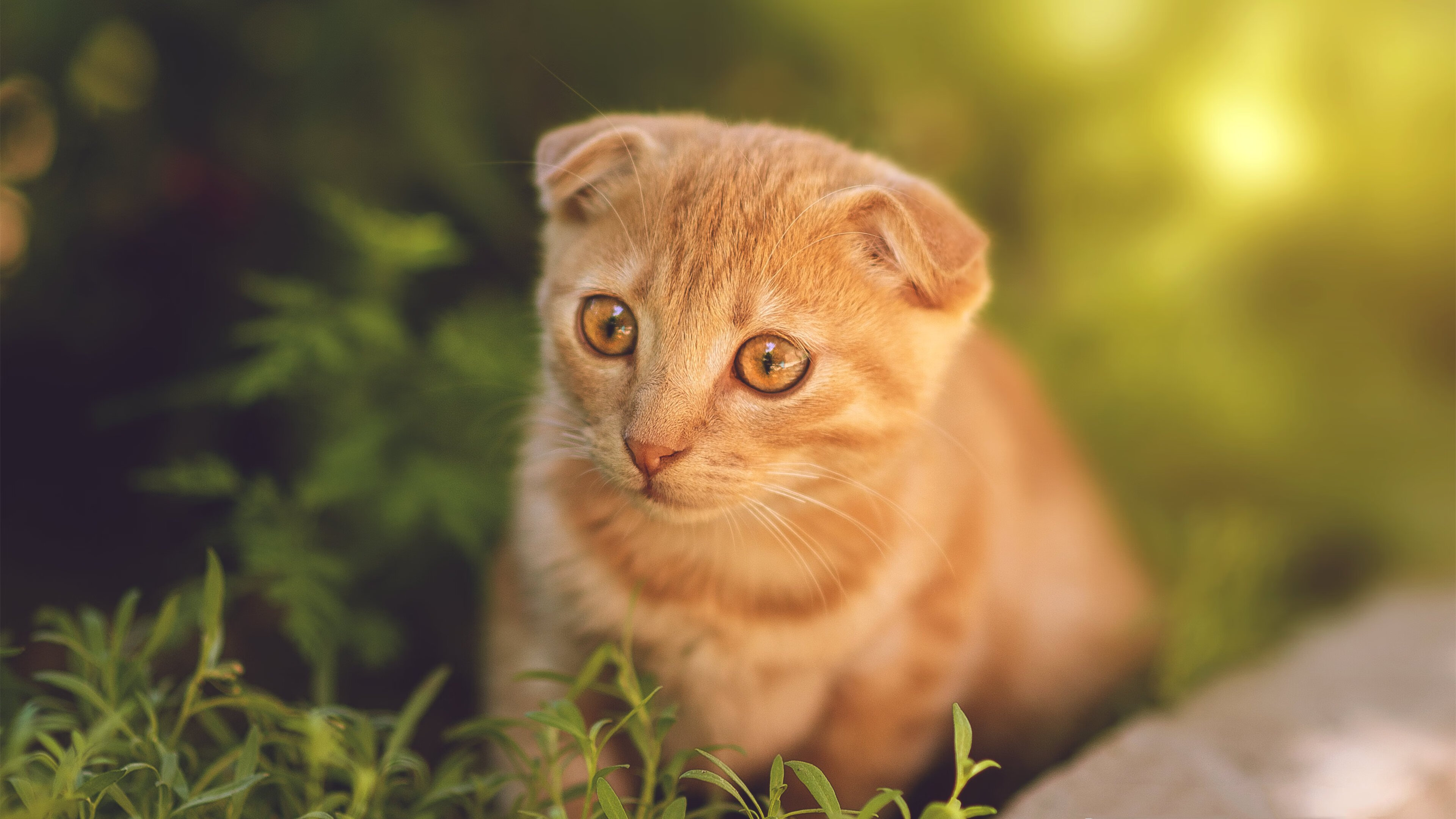 极限攀岩运动训练技巧分享,极限攀岩励志图片