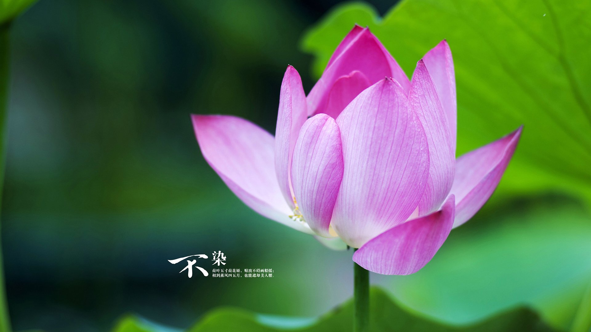 校园足球暑期集训营开营各地选拔机制更加透明,暑假足球训练营招生简章