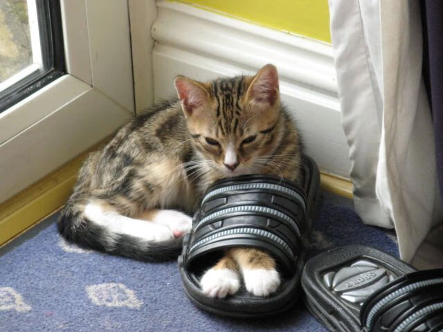 梅西带领阿根廷队冲刺世界杯,状态火热