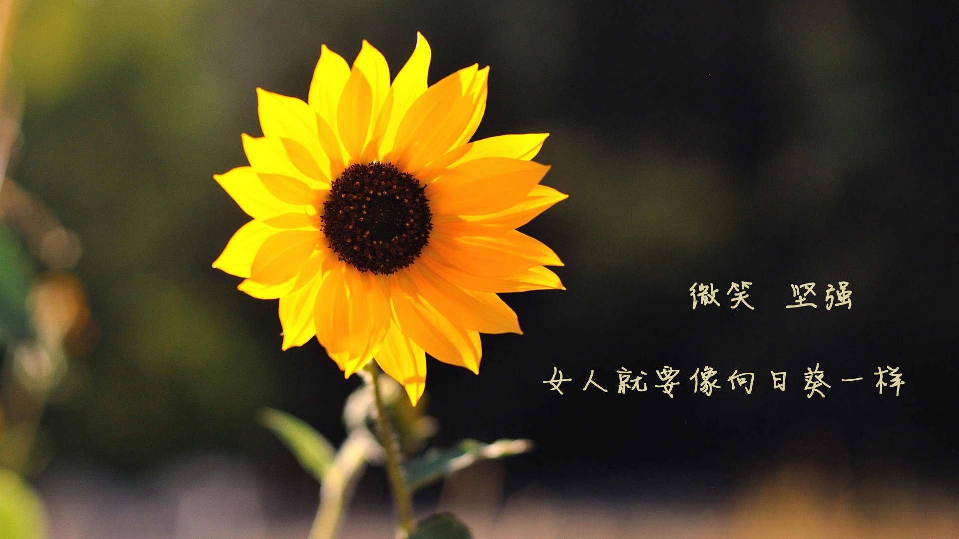 男子英格兰队需加速战略转型,英格兰男子篮球队