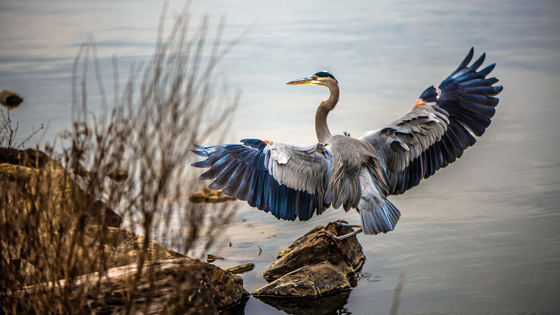 篮网训练现场出现三对三教学赛节奏紧凑,篮网三弟